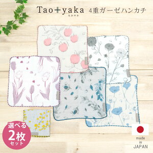 Taoyaka 4dK[[ nJ` 2Zbg { 100% | Jȕ炵  v[g  Y z xr[ Rbg ӂӂ 炩 uh K[[ 킢 Ƃ Mtg v`