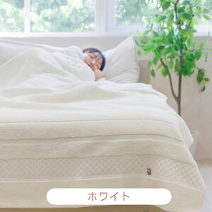  ^IPbg VO ^I KURUMI |   Mtg  Y ^I ӂӂ 100 n uPbg  Rbg Ȗѕz Q Ђ| v[g H~ | 100 