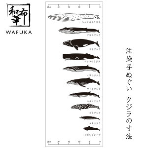 ʂ NW̐@ az Ăʂ a |  nJ` Ƃ v[g { fB[X  v`Mtg MtgG ^yXg[ z Ǌ|  ӂ @ 