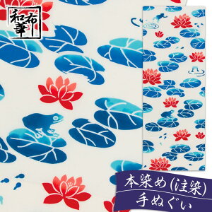 ʂ @ɃJG az Ăʂ Ė͗l |  nJ` Ƃ v[g { fB[X  v`Mtg ސE Mtg a ӂ {ʂ G  @ ^