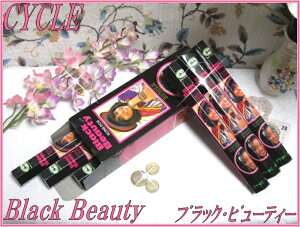 y܂ƂߔIzCĥCYCLEА@ubNr[eB[ -Black Beauty-1 6yChzyCZXzyXeBbN^CvzyHexapbN6{z