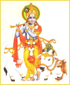 �C���h���璼�A���I�_�l�̃X�e�b�J�[�N���V���i Krsna/krisna����X�e�b�J�[×1������/��/�S�p�[��/Gopala/�S�[���B���_/Govinda/�n��/Hari/�W���K���i�[�^/Jagannatha/�}�[�_���@/Madhava/�_�[���[�_��/Damo