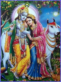 楽天市場 クリシュナの通販