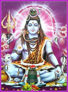 �C���h�̐_�l �V���@�_�����J�[�h×1��[023]���~�l�[�g���H�ς�India God�ySiva�zSmall Card (Charm)��The card is laminated.�y�n���z�y�j��z�y�Đ��z�y�ґz�z�y�|�p�z�y���[�K�z�y��E�z