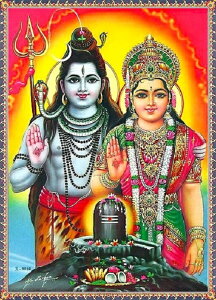 Ch̐_l V@p[@eB[_J[h×1[009]~l[gHςIndia GodySivaParvatizSmall Card (Charm)The card is laminated.ynzyjzyĐzyґzzy|pzyE