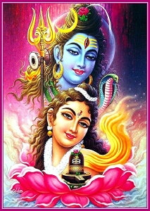 �C���h�̐_�l �V���@���p�[�����@�e�B�[�_�����J�[�h×1��[014]India God�ySiva��Parvati�zSmall Card (Charm)�y�n���z�y�j��z�y�Đ��z�y�ґz�z�y�|�p�z�y���[�K�z�y��E�z�y�p���[�z�y�G�l���M�[