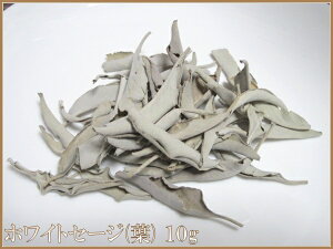 y[֔z\IzyiIzJtHjAYp[Xg[򉻗pzCgZ[W(t)10g(ܕt)