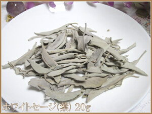 y[֔z\IzyiIzJtHjAYp[Xg[򉻗pzCgZ[W(t)20g(ܕt)