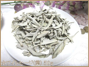 y[֔z\IzyiIzJtHjAYp[Xg[򉻗pzCgZ[W(t)50g(ܕt)