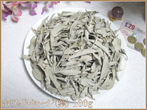 y[֔z\IzyiIzJtHjAYp[Xg[򉻗pzCgZ[W(t)100g(ܕt)