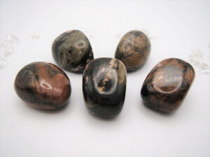 p[Xg[^u[hiCg(KNP)C[WQ] SLTCY×1Power/Gem Stone TambleRhodoniteC-Grade[WQ] SL-Size×1pcsyVR/KNP/D/s////֌W/SJ/Vh~/\