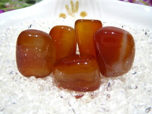 �V�R�΃p���[�X�g�[���^���u���J�[�l���A��(�g�ʐ�)�E�I�����W�n�y4A��[SQ]�zS�T�C�Y×1��(������)PowerStone/GemStoneCarnelian/Tamble-orangeS-Size�y4A-Grade[SQ]�z(No Hole)�y�g�ʐ��z�y�E�C�z�y�́z�y�^����