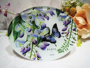 ~bVFfUC[NXАKX \[vfBbVWG[fBbV}/`ʁFEBXeAMichel Design WorksGlass Soap DishJewelry DishPattern/ImageFWISTERIA