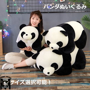 p_ʂ TCY 80cm  mN  쓮 ܂ ʂ  킢 ObY  Aj} p_   JvZRNVtBMA т