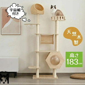 Lbg^[ L^[ lR^[  183cm FD B ܂Ƃ|[ W] glt u^ lR ^[ gȒP  ^[ VRؐ  ^L qL ^