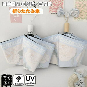 P SՌ ܂肽 Jp P JP 8{ ^b` J Ռ100 肽ݎP y fB[X LbY P [P[X UVJbg O΍ Ռ JP S   