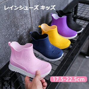 tďH~ CV[Y LbY 킢 Cu[c JC y hV[Y IV K[fjO Ԍ ~J΍ 䕗 ʋ ʊw Jp ʊw hh y J̓ J ̎q j