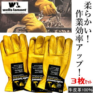y3O㔭z202410 Ɨpv 3Zbg@MTCY wells lamont Premium Leather Work GlovesEFY v~A U[ [NO[uƎ v 3 Pair Pack 3jpM  AEghA