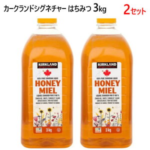 202308はちみつ 3kg カークランドシグネチャー 大容量Kirkland Signature Honey 3kgカナダ産 ハチミツ はちみつ 蜂蜜パンケーキ ホットケーキ ヨーグルト【smtb-ms】015241