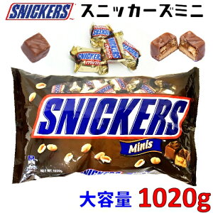 Z[yCOSz202301SNICKERS XjbJ[Y~j e 1020g`R[g `R L s[ibc  َq o^C zCgf[ ߕ ܂0506829