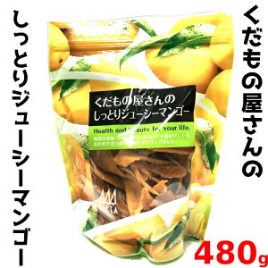 202204COSTCO RXgRf^@DELTA@ʎ̉̂ƂW[V[}S[480g }S[ hCt[cysmtb-msz0575070