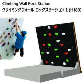 【納期45日前後】202108クライミングウォール ロックステーションH180 Climbing Wall Rock Station工事不要　簡易組み立て式ロッククライミング 大型遊具トレーニング 運動不足解消運動能力 プレゼント 誕生日 クリスマス31876