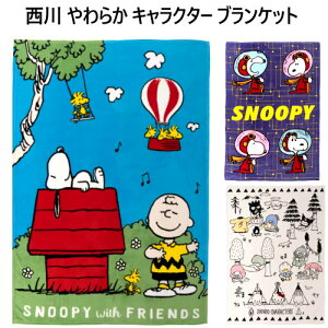 ブランケット スヌーピー ベビー用布団 毛布の人気商品 通販 価格比較 価格 Com