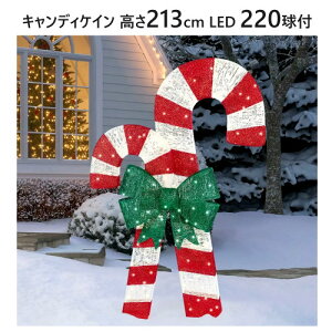 y݌Ɍzy󂠂z LfBPC 213cm LED 220EOgp C~l[V_ _ _^C}[ 4̋@\tX'mas NX}X t@ubN u iCx