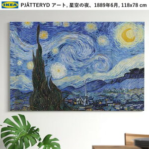 202501PJATTERYD vBGbe[h A[g ̖ 1889N6 118x78 cm̓I A[g iIKEA CPA V CeA X205.789.05