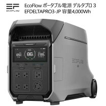 楽天市場】ecoflow デルタプロの通販