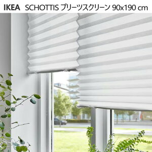 202505SCHOTTIS VbeBX v[cXN[ zCg 90x190 cmJ[e 悯 ډBuCh  V CPA402.422.81