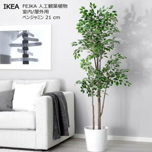 yBEElE֐EEk 艿iz202504FEJKA tFCJ lHϗtA /Op xW~ 21 cm{ O[ Ԃ V [Ƌ 004.915.74