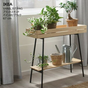 202504VANILJSTANG @jXgO vgX^h pC/ubN 67 cmϗtA ؐ{bNX [ IKEA CPA V I I [604.263.40