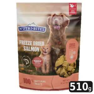 yCOSz02NUTRI BITES t[YhCT[ L510gLpt[YhCT[ nCveCOCOet[100i` ۑY  L  ς I