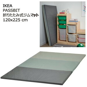 IKEA 202506PASSBIT pbXrbg ܂肽ݎW}bg O[ 120x225 cm^}bg W}bgIKEA CPA 105.522.65