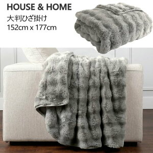 yCOSz202511HOUSE & HOME 唻Ђ| 152cm x 177cm CgO[ Q\tgoCfBO TCY @ @gp Ђ|Q ѕz174533-1