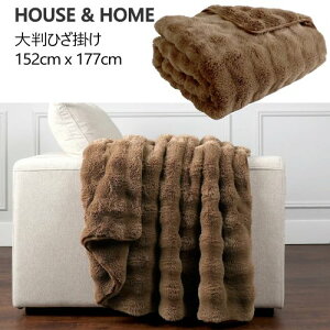 yCOSz202511HOUSE & HOME 唻Ђ| 152cm x 177cm i` uE Q\tgoCfBO TCY @ @gp Ђ|Q ѕz174533-2