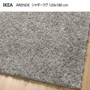 IKEA 202509ARENDE G[f VM[O O[ 120x180cmIKEA CPA pC J[ybg v  ȒP V106.080.88
