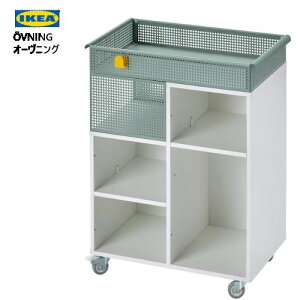 202306OVNING I[jOS zCg/O[O[|[^u tLVu [ IKEA CPALX^[tS 54x33 cm@{I V I I [{bNXq