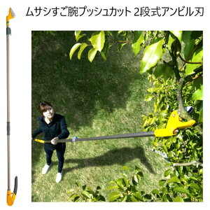 yCOSz202401TVrvbVJbg 2iArnMUSASHI 2i}̎14iKLk 1.75`3.05m V\nh Lb`@\t } ʎ؂n Arn26260