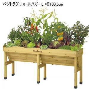 �����������ycos�z202401�x�W�g���O �E�H�[���n�K�[ L �E�b�h �ƒ�؉� �v�����^�[VEG TRUG �ؐ��v�����^�[ ������ ��183.5×���s46×����80cm��^ V���^�f�U�C���ʋC�� �r���� �g���i ���C�Y�h�x�b�g