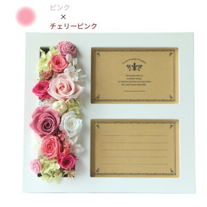 vU[uht[ ʐ^ j  ʐ^ j  e ̓ j җj tHgt[ o a  c FB j LO  ސEj 