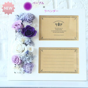 vU[uht[ ʐ^ j  ʐ^ j  e ̓ j җj tHgt[ o a  c FB j LO  ސEj 