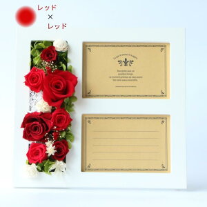 vU[uht[ ʐ^ j  ʐ^ j  e ̓ j җj tHgt[ o a  c FB j LO  ސEj 