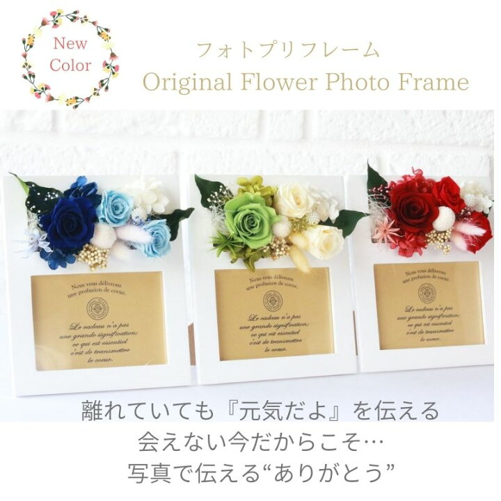 楽天市場 プリザーブドフラワー 写真立て フォトフレーム カーネーション スイーツセット バラ 誕生日 プレゼント 花 女性 母 祖母 女友達 ギフト おしゃれ お祝い 結婚祝い 結婚記念日 妻 定年 退職祝い 異動 送別会 お花 ホワイトデー 卒業祝い 孫 娘 お悔み ペット