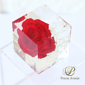 NX^A[gE vU[uht[ v|[Y@zCgf[@ KN o AWg t[Mtg n[oE {bNXMtg v[g a  L