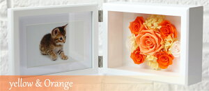 Ήi@ʐ^Zbg@vU[uht[ ʐ^ tHgt[ LTCY@ʐ^ u v~A Mtg a j v[g d  җj җ  Ď