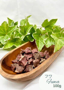 ynh񂪍hbOt[h@tz Yn@Mς݁@p@ybg@Y@Ⓚ@W𓀁@AM[z@Oet[@q@@VjA@ps[@