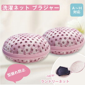 【時間限定に20％OFF!】 洗濯ネット ブラジャー ブラジャーネット ブラジャー専用洗濯ネット プレミアムブラジャーネット ネット ブラジャー用洗濯ネット ブラネット 型崩れ防止 型崩れ対策 ランドリーネット洗濯