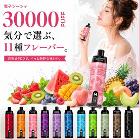 電子タバコ 電子シーシャ VAPE vape ベイプ 水蒸気タバコ ポータブルシーシャ 小型 コンパクト 持ち運び ニコチン0 タール0 ノンニコチン ニコチンフリー 禁煙 減煙 口寂しさ対策 フレーバー 濃厚 吸いごたえ 爆煙 交換式 POD 30000PUFF 人気 おすすめ